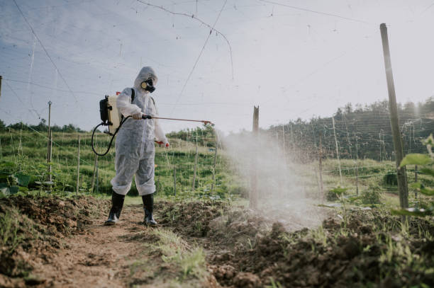 Best Pest Removal Services  in Mount Sterling, IL