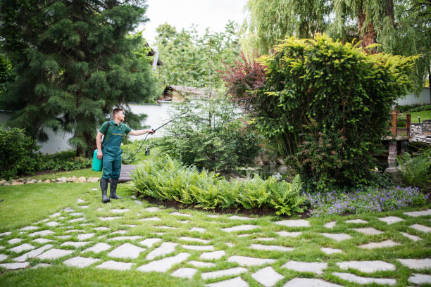 Best Affordable Pest Control Services  in Mount Sterling, IL