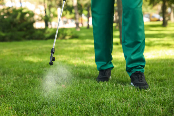Best Emergency Pest Control  in Mount Sterling, IL
