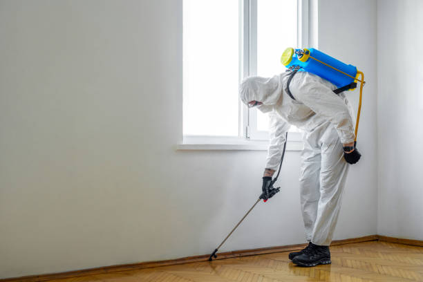 Best Wildlife Control Services  in Mount Sterling, IL