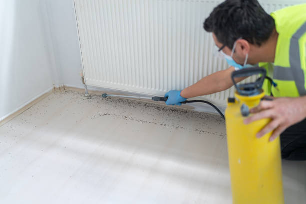 Best Cockroach Control Services  in Mount Sterling, IL